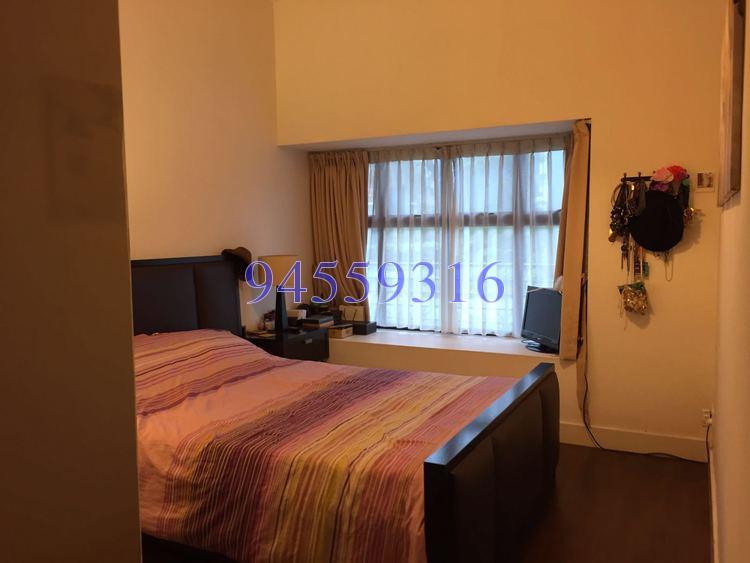 Nineteen Shelford Road (D11), Condominium #173298722